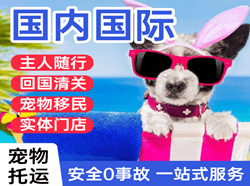 百色空运公司国际宠物托运 【国